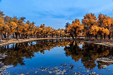 GOG喜加一：《巫师：加强版》